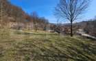 Teren intravilan 6.820 mp cu casa, padure ?i rau Alm - 9