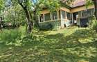 Casa la tara , curte/gradina 3450 m2 - 6