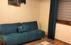 Apartament cu 2 camere de inchiriat zona Gorjului - 3