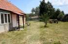 Casa taraneasca in inima naturii - 10