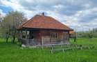 Casă cu 7 camere cu Teren 20855 Mp în Curtea de Argeș - 5