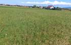 Teren agricol de 3200 mp, în Podu Oltului - 1