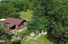 Casa de vanzare in natura la tara - Mihaesti - 9