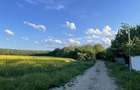 Teren intravilan langa padurea Snagov 7500mp - 1