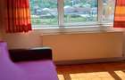 Apartament 3 camere,decomandat - 6