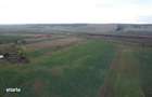 Teren Albesti, Vaslui, ID: R2893960 - 8