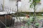 Apartament cu 1 cameră  - 7