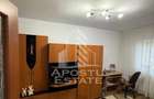Apartament cu 2 camere semidecomandat în Buziașului - 4