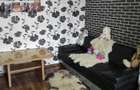 Apartament cu 2 camere decomandat în Sighișoara - 3