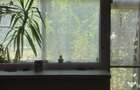 Tomis Nord, apartament 4 camere de vanzare, parter, gaze, mobilat - 10