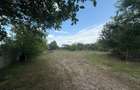 Teren comercial de inchiriat, 2630 mp, urban - 4