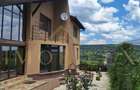 Casa individuala ,teren 2500mp Dambul Rotund - 5