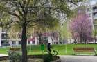 Apartament superb de inchiriat cu pisicina in complex - 4