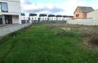 Teren Construcții intravilan de 733 mp, în Corbeanca - 1