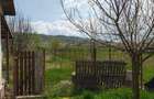 Casa cu teren generos la marginea Parcului Dendrologic - 8