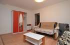 Apartament cu 2 camere semidecomandat în Vitan - 10