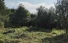 Teren de vanzare com. Aiton - 6