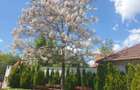 London residence Pipera-vila inchiriat - 16