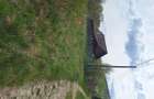 Teren de vanzare 0.800m - 2