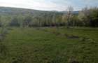 Teren intravilan de vanzare - 1