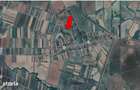 Casa si teren loc.Hrip, com.Paulesti, jud.Satu Mare - 6