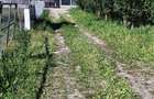 vand Tere intravilan - 3
