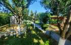 Casa de vacanta teren 5 Ari intravilan Bercu Rosu - Satu Mare - 6