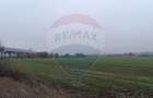 Teren extravilan de 5000 mp, în Balotești - 5
