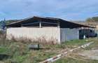 Ferma de vanzare , zona Dambu - 9