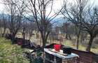 Teren Intravilan 43Ari zona Ortelec-Zalau intre case 4800eur/ar - 8