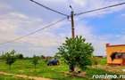 Domeniu, 9,5 ha, 25 KM de Timisoara - 14
