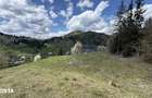 Teren 1.29 ha + 1 ha padure, acces u?or - 4