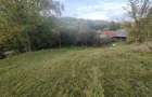 Casa de vanzare cu gradina teren de aprox 7000 mp,6.5 euro mp - 3