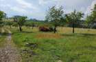 Teren intravilan in Campina, 1490mp--26.820e - 5