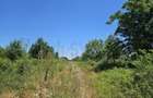 Teren intravilan de 8227 mp, în Băneasa - 9