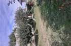 Vand Proprietate, Sat Buda, Com. Rafov, jud. Prahova - 6