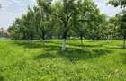 Teren de vanzare in Aiton - 8