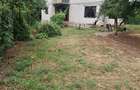 Vand casa Comana Giurgiu,Mihai Bravu ,uzunu Calugareni - 7