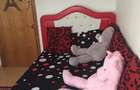 Apartament cu 3 camere decomandat în Găvana - 4