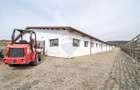 Proprietate specială, de 2,116.5 mp, în Curtuiușu Dejului - 13
