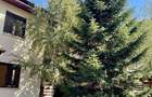 Pine House, gradina matura, anexa, carport, caramida, Paradisul Verde