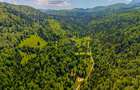 Teren intravilan de 14400 mp, în Cheile Râșnoavei - 4