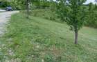 Teren de 1370 mp, în Băbana - 5