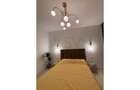 Apartament cu 2 camere semidecomandat în Herăstrău - 12