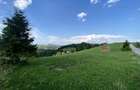 Teren intravilan de 3791 mp, în Poiana Mărului - 8