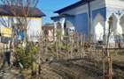 Casă cu 6 camere cu Teren 1300 Mp în Spătărei - 5