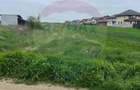 Teren intravilan de 3.168 mp, Cosoba, Giurgiu - 1