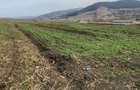 Vand teren intravilan cu suprafa?a de 2000 m