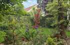 Vila 4 camere, 220 mpu, garaj, 150 mp curte - Pipera / V Alecsandri - 9