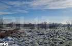 PROPRIETATE AGRICOLA PREMIUM 5 HECTARE CU LIVADA DE NUCI (CHANDL - 7